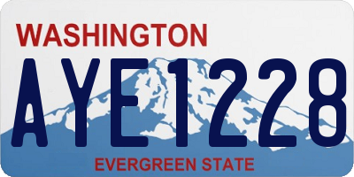 WA license plate AYE1228