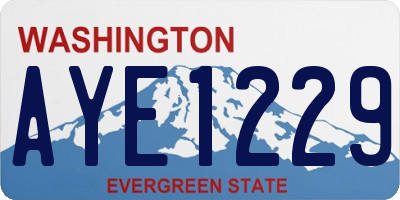 WA license plate AYE1229