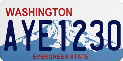WA license plate AYE1230