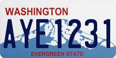 WA license plate AYE1231