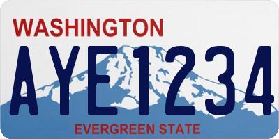 WA license plate AYE1234