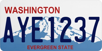 WA license plate AYE1237