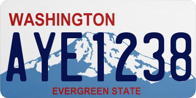 WA license plate AYE1238