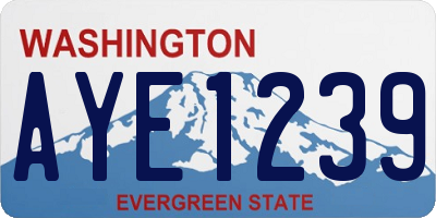 WA license plate AYE1239