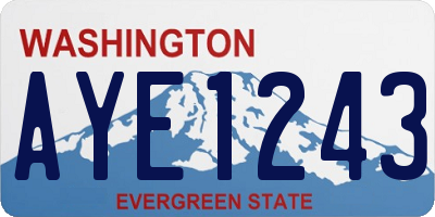 WA license plate AYE1243