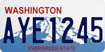 WA license plate AYE1245