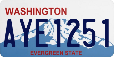 WA license plate AYE1251