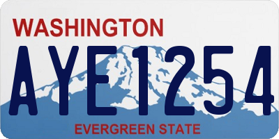 WA license plate AYE1254