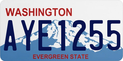 WA license plate AYE1255