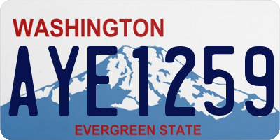 WA license plate AYE1259