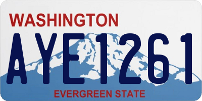 WA license plate AYE1261