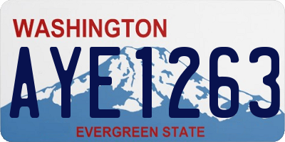 WA license plate AYE1263