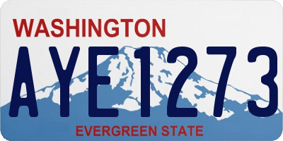 WA license plate AYE1273