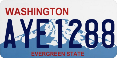WA license plate AYE1288