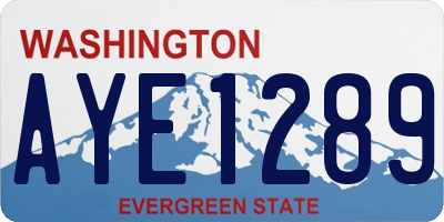WA license plate AYE1289