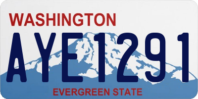 WA license plate AYE1291