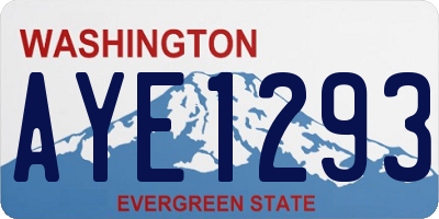 WA license plate AYE1293