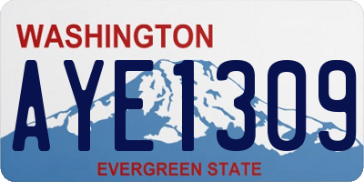 WA license plate AYE1309