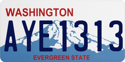 WA license plate AYE1313