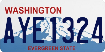 WA license plate AYE1324