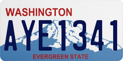 WA license plate AYE1341