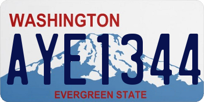 WA license plate AYE1344