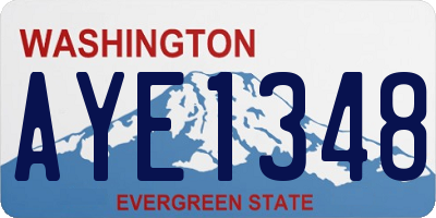 WA license plate AYE1348