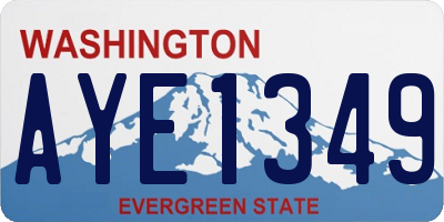 WA license plate AYE1349