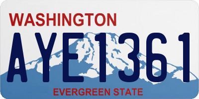 WA license plate AYE1361