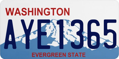 WA license plate AYE1365