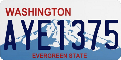 WA license plate AYE1375