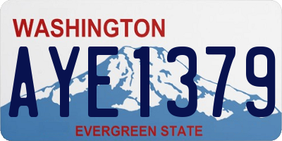 WA license plate AYE1379