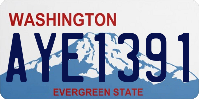 WA license plate AYE1391