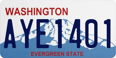 WA license plate AYE1401