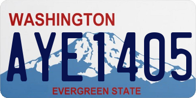 WA license plate AYE1405
