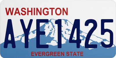 WA license plate AYE1425