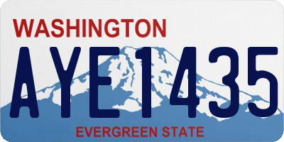 WA license plate AYE1435