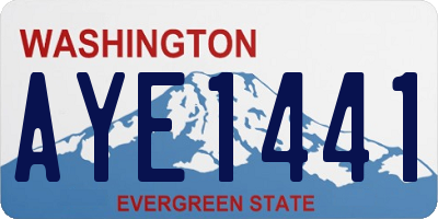WA license plate AYE1441