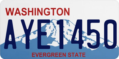 WA license plate AYE1450