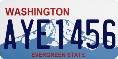 WA license plate AYE1456