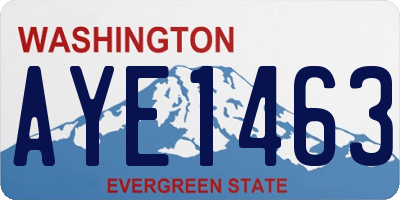WA license plate AYE1463