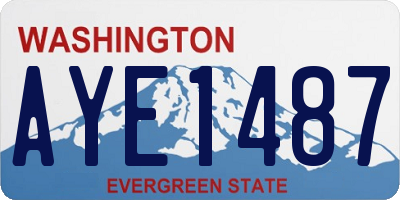 WA license plate AYE1487