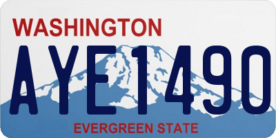 WA license plate AYE1490