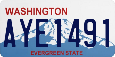 WA license plate AYE1491