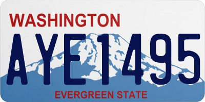 WA license plate AYE1495