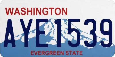 WA license plate AYE1539