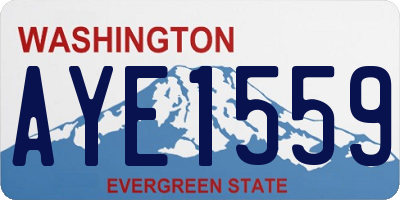 WA license plate AYE1559