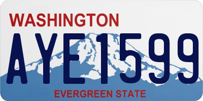 WA license plate AYE1599