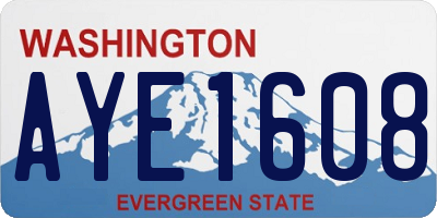 WA license plate AYE1608