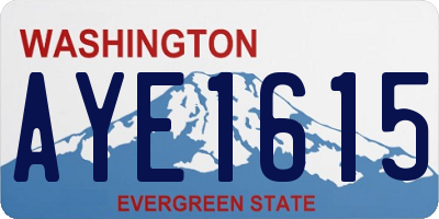 WA license plate AYE1615